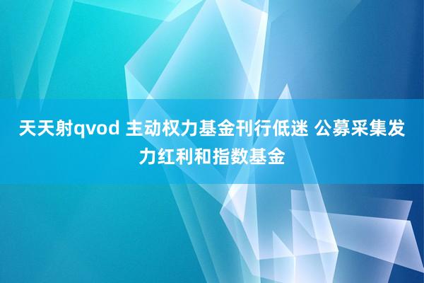 天天射qvod 主动权力基金刊行低迷 公募采集发力红利和指数基金
