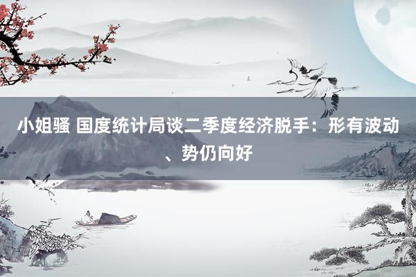 小姐骚 国度统计局谈二季度经济脱手：形有波动、势仍向好