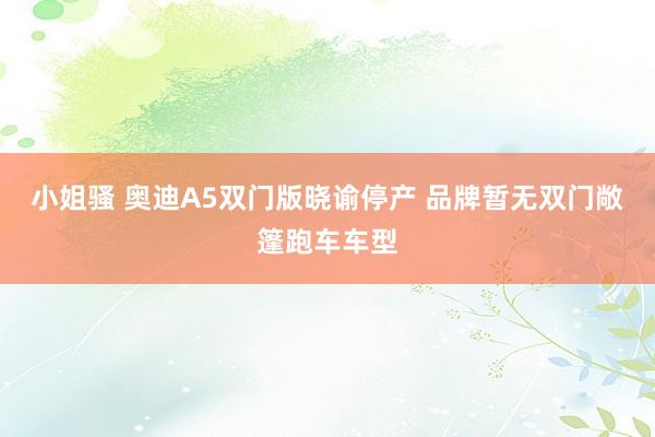 小姐骚 奥迪A5双门版晓谕停产 品牌暂无双门敞篷跑车车型