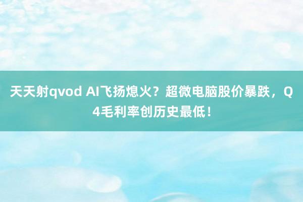 天天射qvod AI飞扬熄火？超微电脑股价暴跌，Q4毛利率创历史最低！