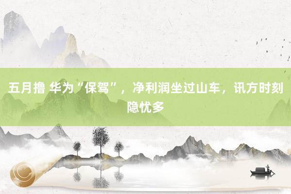 五月撸 华为“保驾”，净利润坐过山车，讯方时刻隐忧多