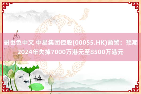 哥也色中文 中星集团控股(00055.HK)盈警：预期2024年失掉7000万港元至8500万港元