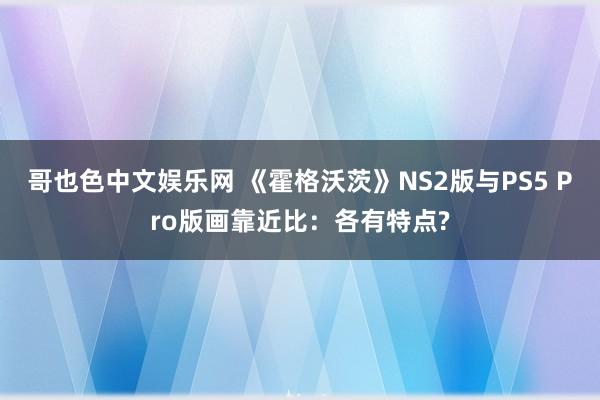 哥也色中文娱乐网 《霍格沃茨》NS2版与PS5 Pro版画靠近比：各有特点?