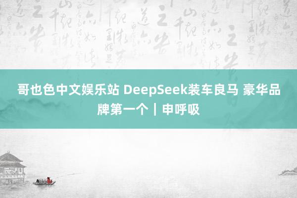 哥也色中文娱乐站 DeepSeek装车良马 豪华品牌第一个｜申呼吸