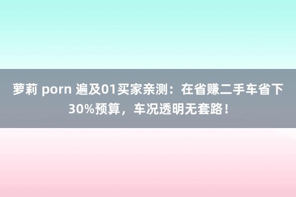 萝莉 porn 遍及01买家亲测：在省赚二手车省下30%预算，车况透明无套路！