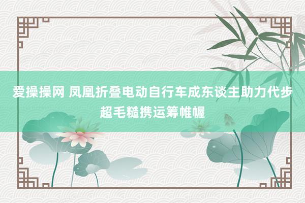 爱操操网 凤凰折叠电动自行车成东谈主助力代步超毛糙携运筹帷幄