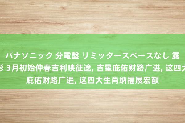 パナソニック 分電盤 リミッタースペースなし 露出・半埋込両用形 3月初始仲春吉利映征途， 吉星庇佑财路广进， 这四大生肖纳福展宏猷