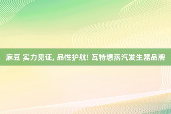 麻豆 实力见证， 品性护航! 瓦特想蒸汽发生器品牌