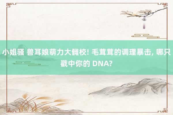 小姐骚 兽耳娘萌力大雠校! 毛茸茸的调理暴击， 哪只戳中你的 DNA?