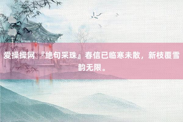 爱操操网 『绝句采珠』春信已临寒未散，新枝覆雪韵无限。