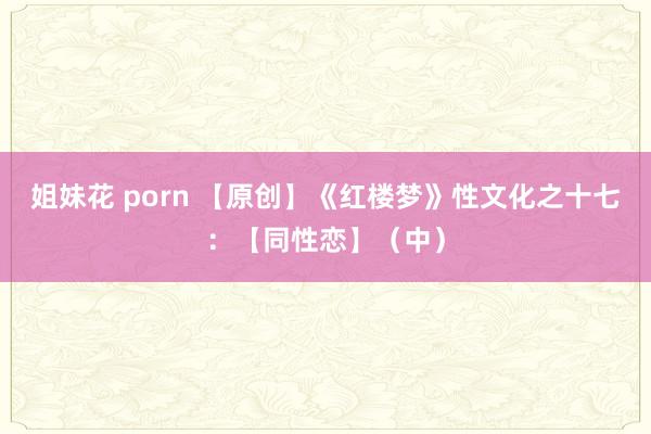 姐妹花 porn 【原创】《红楼梦》性文化之十七：【同性恋】（中）